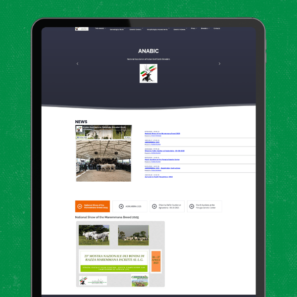 Anabic website