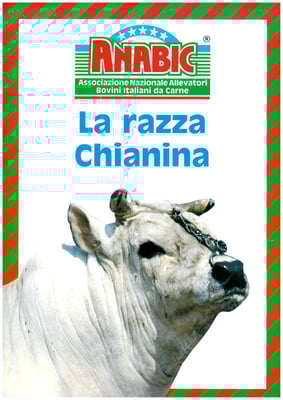 ANABIC - La Razza Chianina